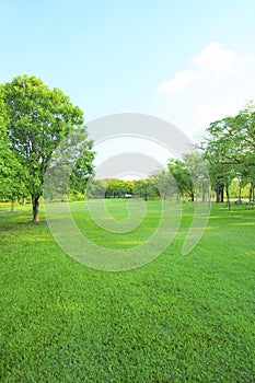 Beautiful morning light in public park with green grass field an