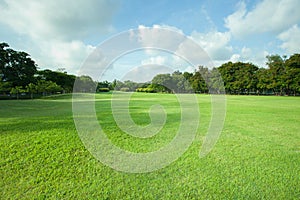 Beautiful morning light in public park with green grass field an