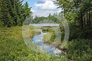 Creek into Peck Lake Algonquin