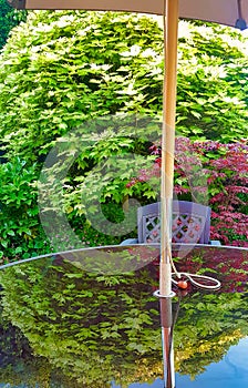 Reflections of acers in a patio table