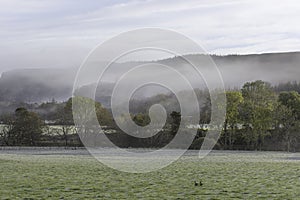 Beautiful morning on Scottish countryside