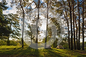 Beautiful morning sun rays illuminate tourist tents in autumn forest.