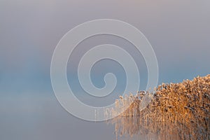 A beautiful morning at sunrise, dawn, the fog swirls around the early winter landscape.