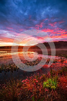 Beautiful Morning Sunrise with Dramatic Colorful Clouds.