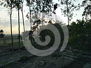 Beautiful morning sunrise in Mohangarh village india fresh view