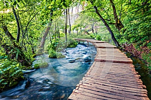 Beautiful morning view of Plitvice National Park. Sunny spring scene of green forest with pure water lake. Marvelous countryside l