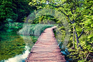 Beautiful morning view of Plitvice National Park. Sunny spring scene of green forest with pure water lake. Marvelous countryside l