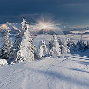 Beautiful morninglandscape in mountains in winter