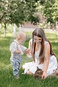 beautiful mother and her baby son playing with striped cat in the sunny summer park. mothers, baby's day. happy