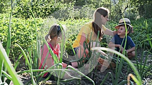 Beautiful mother playing and having fun with his son and daugther harvesting vegetables from the garden in the mountain.