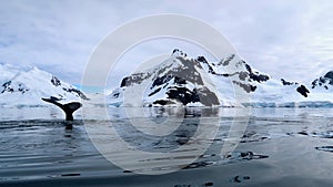 Beautiful mountain in Antarctica, with a tail of a humpback whale in the foreground.