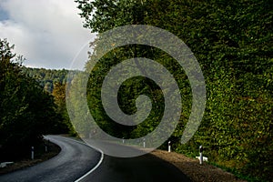 Beautiful mountain curved road, trees with green foliage. A landscape with an empty paved road through the forest