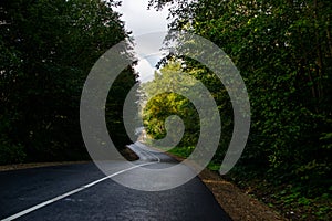 Beautiful mountain curved road, trees with green foliage. A landscape with an empty paved road through the forest