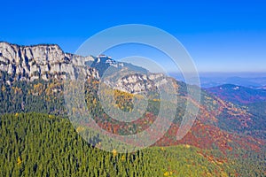 Beautiful mountain forest in autumn