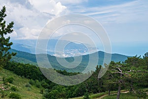 Beautiful mountain forest landscape against sky