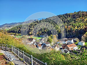 A beautiful mountain forest in Rankweil