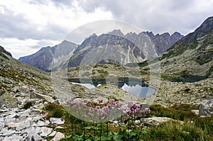 Krásne horské ľadovcové jazero, Slovensko