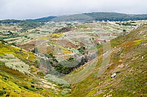 Beautiful mountain hills with green vegetation