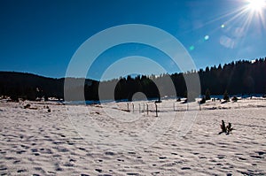 Beautiful mountain Igman in the winter