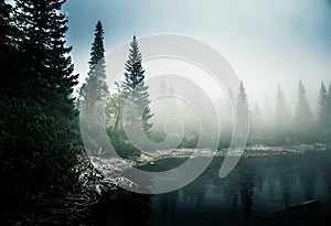 A beautiful mountain lake in a fog in Tatry, Slovakia.