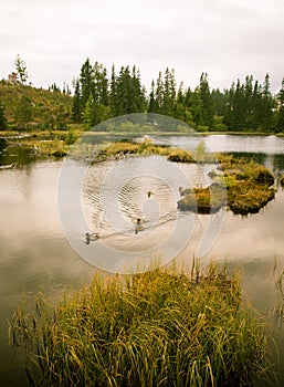 A beautiful mountain lake landscape