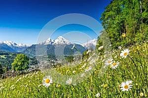 Beautiful mountain landscape in the Alps in springtime