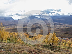 Beautiful mountain landscape in autumn