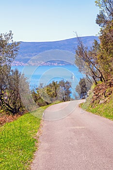 Beautiful mountain landscape with country road near olive trees. Montenegro, Bay of Kotor