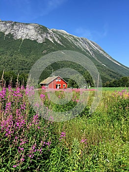 Beautiful mountain landscape with a cute red Scandinavian house, Norway, vertical