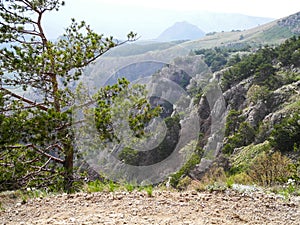 Beautiful mountain landscape with dangerous with sloping rocks in spring. Green trees on the rocks. Mountain ranges in a blue haze