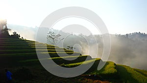 Beautiful Mountain landscape foggy windy mountain range green landscape asian farm. Amazing Landscape mountain green field meadow