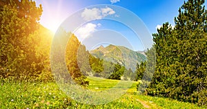 A beautiful mountain landscape with green meadows, forests and bright sunshine. Andorra. Wide photo