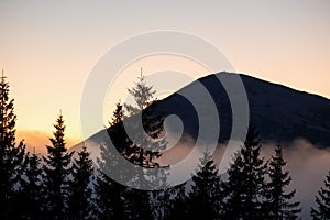 Beautiful mountain landscape with hazy peaks and foggy wooded valley at sunset