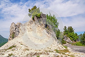 Beautiful mountain landscape. Karst formation, scenic rock with trees. Montenegro