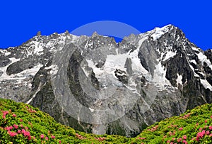 Mount Grandes Jorasses, Mont Blanc massif, Courmayeur, Italy. photo