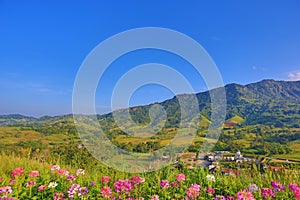 Beautiful mountain landscape with mountain forest and blue sky in Thailand