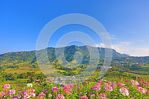 Beautiful mountain landscape with mountain forest and blue sky in Thailand