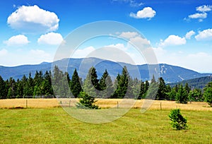 Beautiful mountain landscape in the national park Sumava. Czech Republic.