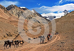 Beautiful Mountain landscape near Aconcagua