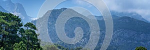 Beautiful mountain landscape, pine forest on hills with blue sky and clouds, panorama banner format