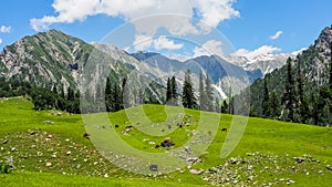 Beautiful mountain landscape of Sonamarg, Jammu and Kashmir state,