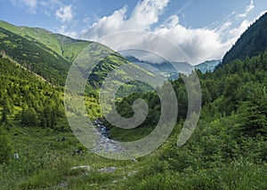 Beautiful mountain landscape with stream Smrecianka creek grass, spruce trees, dwarf scrub pine and mountain peaks