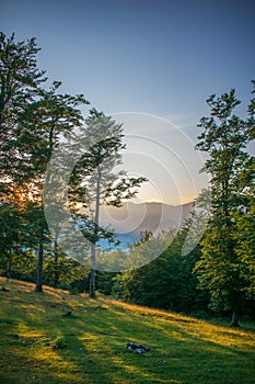 A beautiful mountain landscape at sunset. A beautiful summer day.The sun descends behind the trees. A gorgeous light