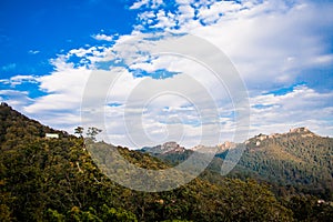 Beautiful mountain landscape with trees, clouds and blue sky