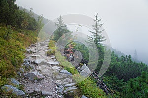 A beautiful mountain landscape with trees