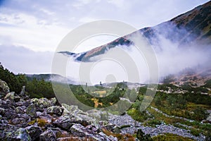 A beautiful mountain landscape with trees