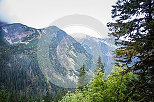 A beautiful mountain landscape with trees