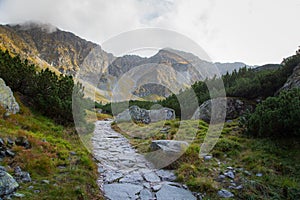 A beautiful mountain landscape with trees