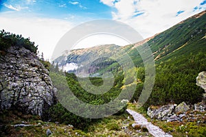 A beautiful mountain landscape with trees