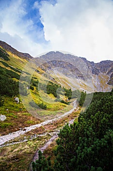 A beautiful mountain landscape with trees